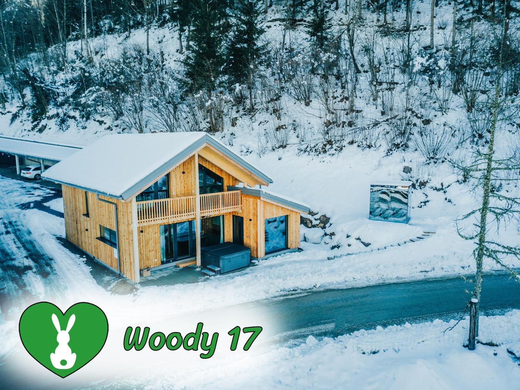 Woody Park Villa Sankt Georgen ob Murau Exterior photo