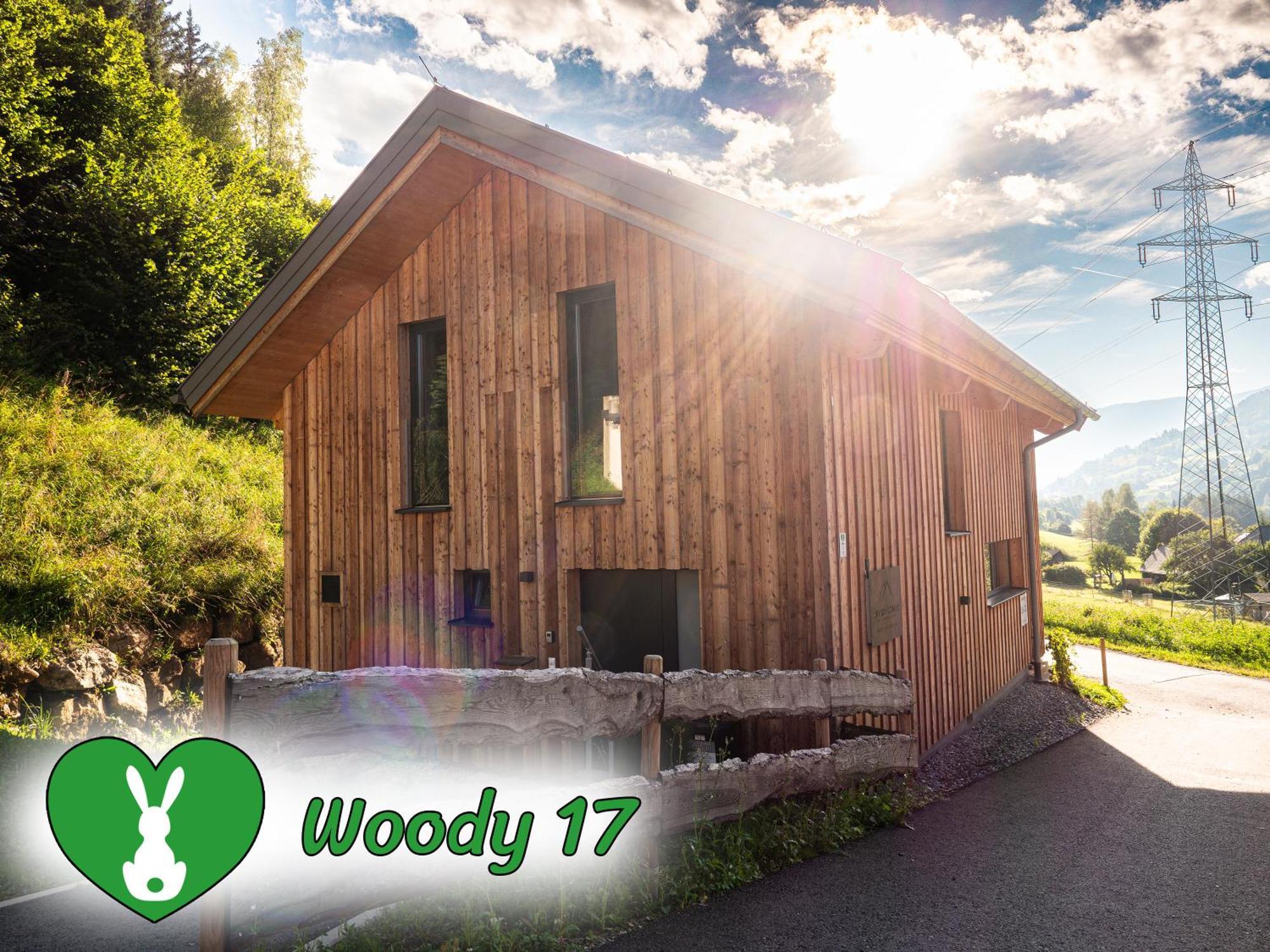 Woody Park Villa Sankt Georgen ob Murau Exterior photo